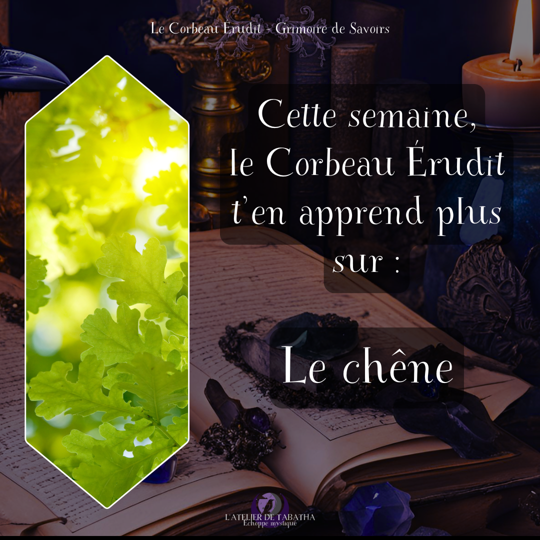 Le chêne - L'Atelier de Tabatha