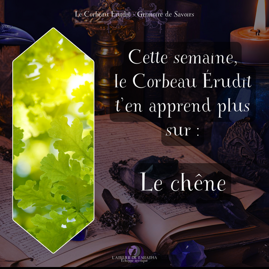 Le chêne - L'Atelier de Tabatha